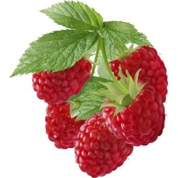 Aviečių kvapnioji medžiaga Aviečių kvapnioji medžiaga