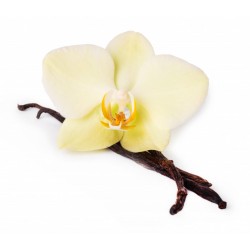 Vanilės kvapnioji medžiaga 100 g.