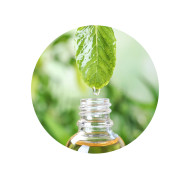 Mėtų esencija 100 g