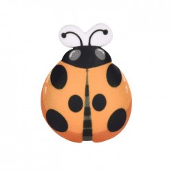 Cukrinė boružėlė oranžinė