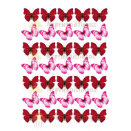 Valgomas paveiksliukas spurgytėm, keksiukam puošti. Drugeliai Valgomas paveiksliukas spurgytėm, keksiukam puošti. Drugeliai