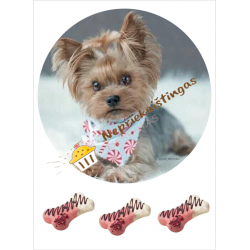 Valgomas paveiksliukas Jorkšyriukas Valgomas paveiksliukas Jorkšyriukas