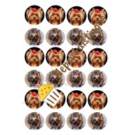 Paveiksliukas ant cukrinės masės "Jorkšyriukai" keksiukams