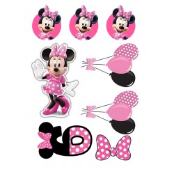 Cukrinės masės paveiksliukas Minės tema 6-asis gimtadienis