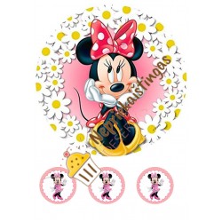 Valgomas paveiksliukas Pelytė Minė