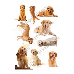 Valgomas paveiksliukas Auksaspalvis retriveris figūrėlėms Valgomas paveiksliukas Auksaspalvis retriveris figūrėlėms