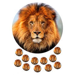 Valgomas paveiksliukas Liūtas Valgomas paveiksliukas Liūtas