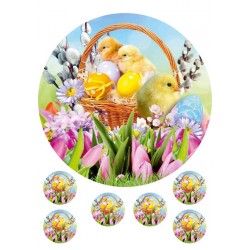 Valgomas paveiksliukas Velykiniai viščiukai