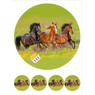 Valgomas paveiksliukas Žirgai