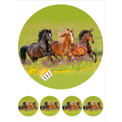 Valgomas paveiksliukas Žirgai