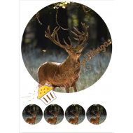 Valgomas paveiksliukas Briedis