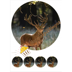 Valgomas paveiksliukas Briedis