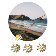 Valgomas paveiksliukas Paplūdimys Valgomas paveiksliukas Paplūdimys