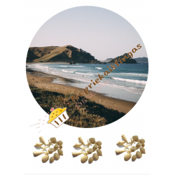 Valgomas paveiksliukas Paplūdimys