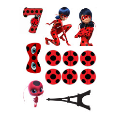 Valgomas paveiksliukas Lady bug 7 gimtadienis