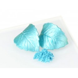 Blizgūs maistiniai dažai (kandurinas) - vandenyno mėlyna spalva