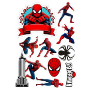 Valgomas paveiksliukas ''Spider 24''