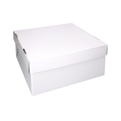 Tvirta kartoninė dėžė 36 x36 x 15 cm.