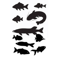 Valgomas paveiksliukas juodos žuvys